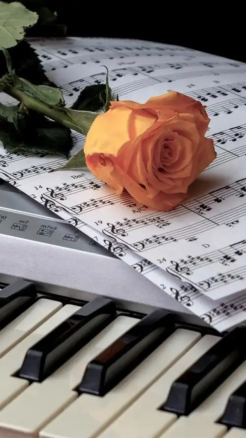 葡萄酒,钢琴,乐谱 640x1136 iphone 5/5s/5c/se 壁纸,图片,背景,照片