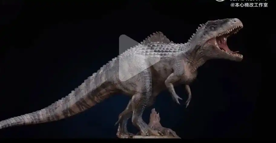 本心南巨实物图片来了 - 抖音