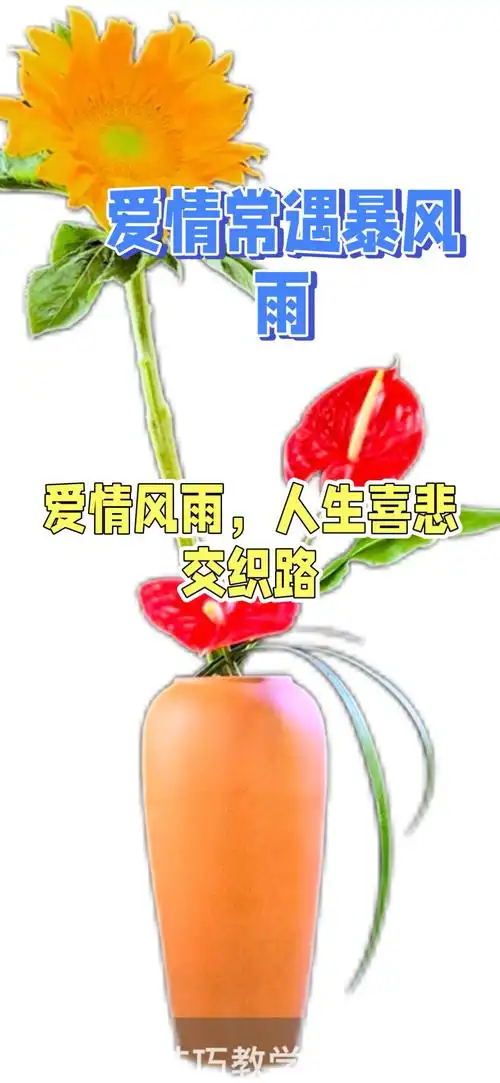 爱情常遇暴风雨啊