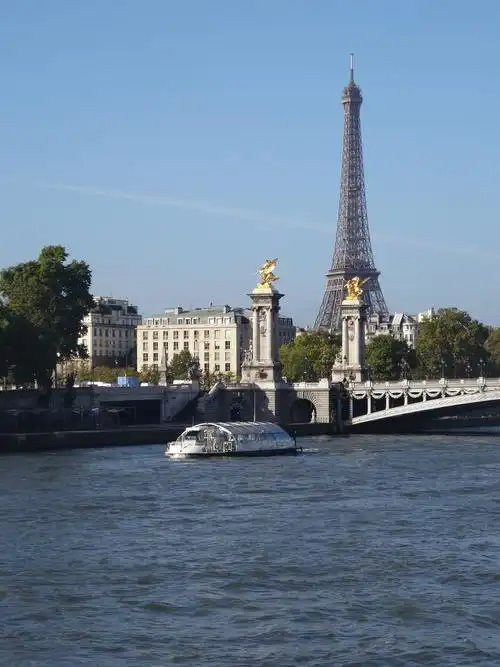 畅游塞纳河快乐的鸭子和海鸥