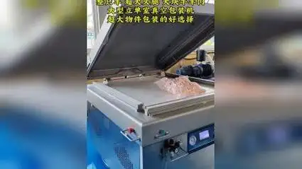 全羊真空包装机 整只羊真空包装机 大块牛羊肉立单室真空包装机