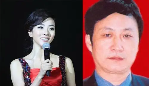 李思思的老公魏文彬吗 李思思的老公的工作