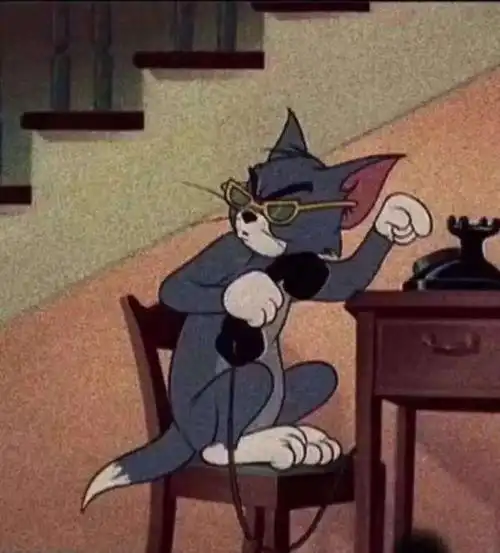 汤姆猫打电话壁纸汤姆猫人间不值得壁纸