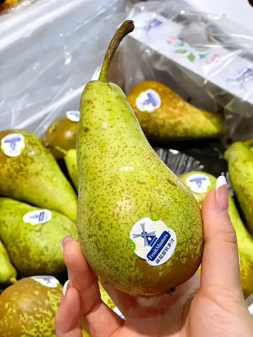 荷兰9997进口啤梨98