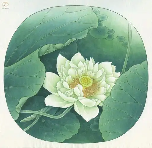 李怀臣工笔荷花绘制步骤图.