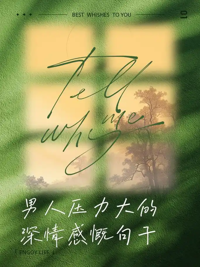 男人压力大的深情感慨句子