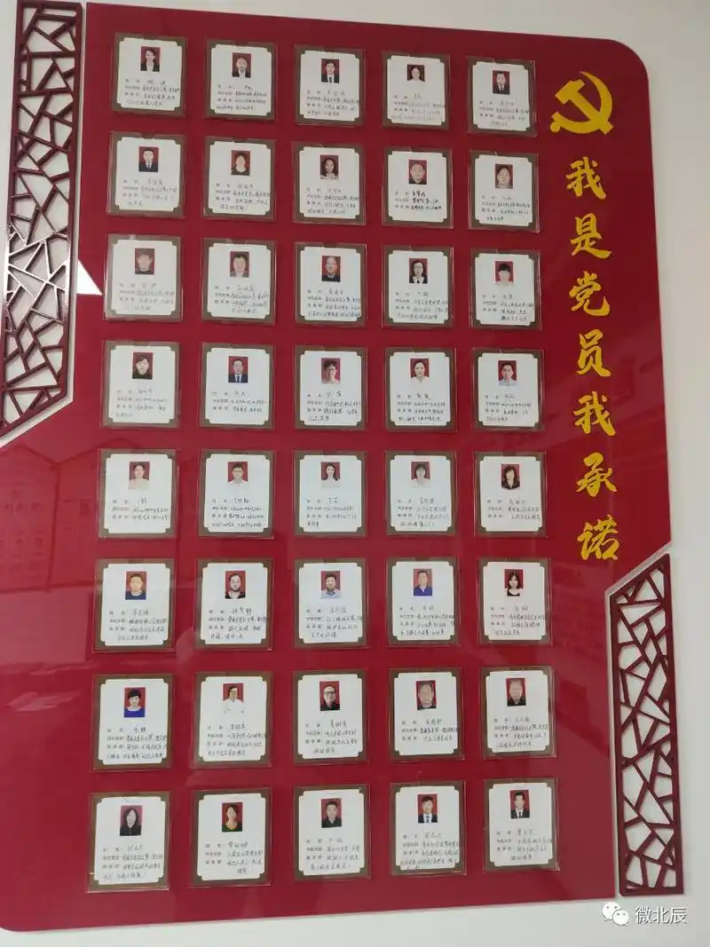 学党史党员亮承诺砥砺新作为