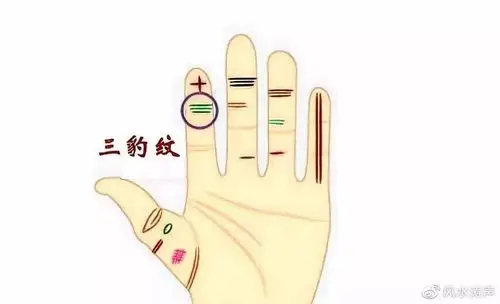 食指有三豹纹