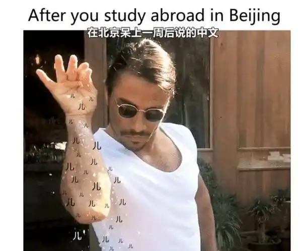 外国人用梗图吐槽中文太难,看完笑出六块腹肌,这好像学英语的我|语感|