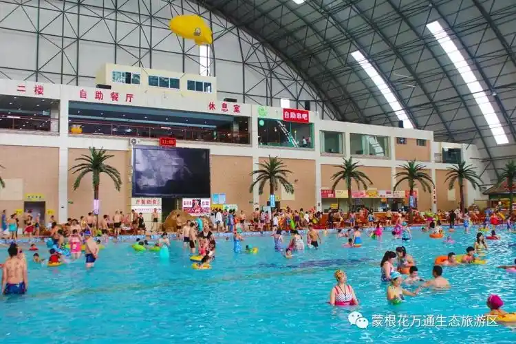 旅游日收拾行囊带上自己让蒙根花万通惊艳你我的时光