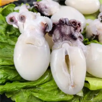 新鲜墨鱼仔八爪鱼小墨斗乌贼章鱼小目鱼鱿鱼花爆头鲜活速冻海鲜装6斤