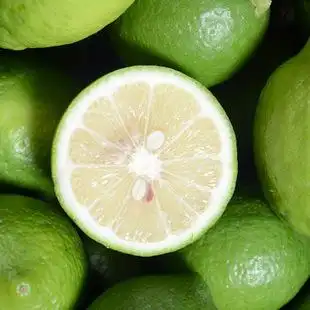 现摘现发安岳尤力克青柠檬新鲜2斤装 新鲜有机水果尤力克柠檬