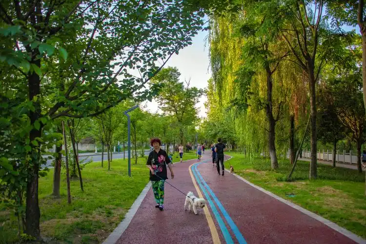 小区 散步(游步道) 晨练