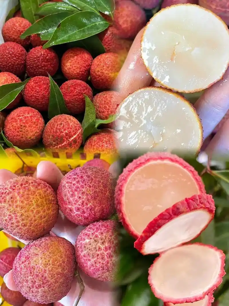 闲来无事吃荔枝.#图文伙伴计划 荔枝可是俺的心头好啊!平时吃 - 抖音