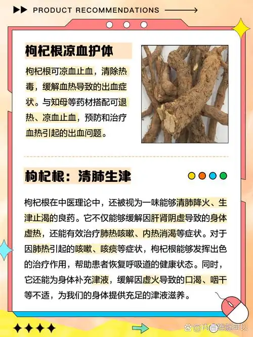 枸杞根的功效与作用