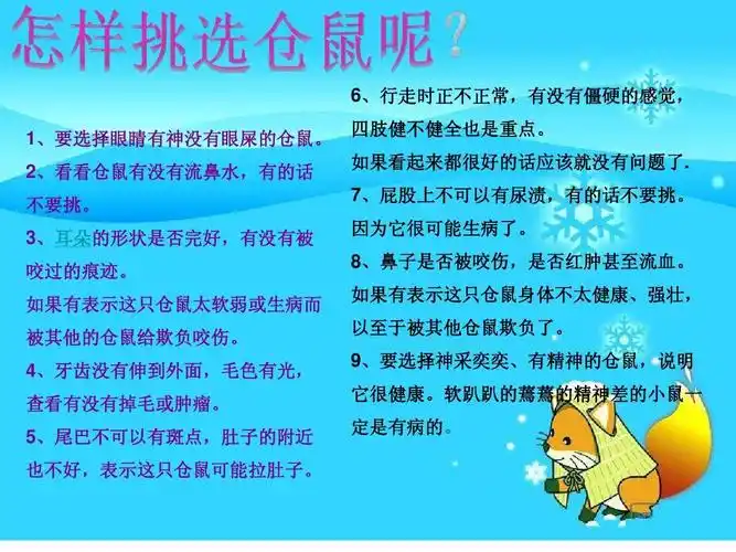 小仓鼠的饲养方法ppt