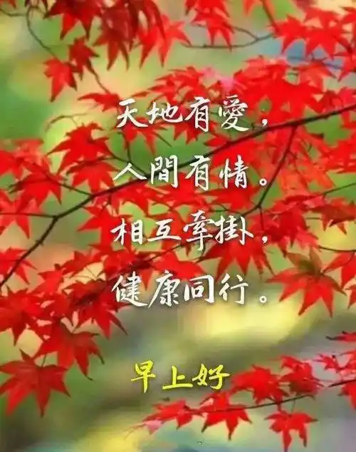 一声祝福,人间有情,彼此牵挂!