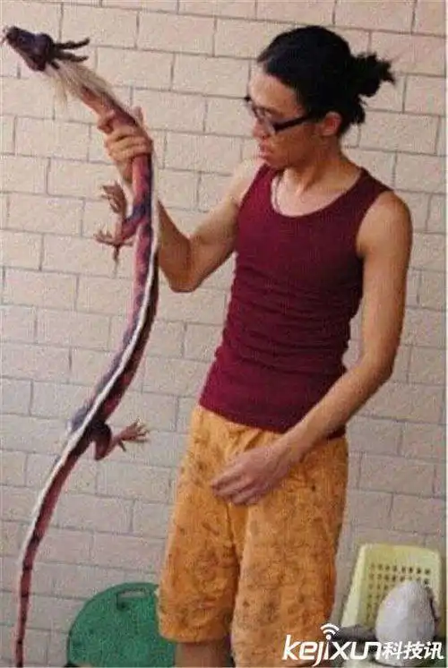 06年真龙吃人的照片