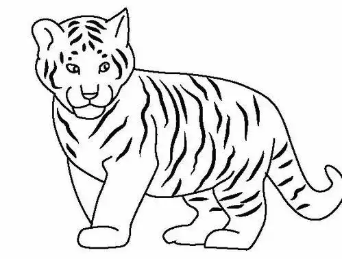 简笔画 】太平洋亲子网专区休息的老虎怎么画简笔画彩色图片带颜色