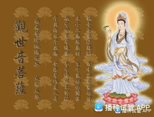 [试管婴儿]求菩萨保佑我肚子里的宝宝健健康