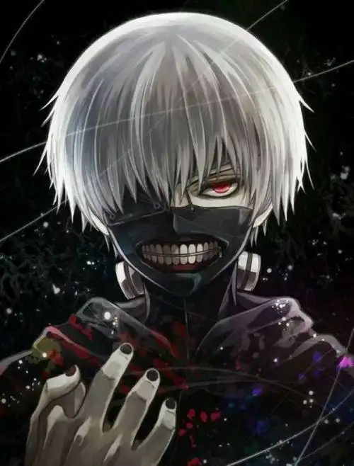 东京食尸鬼里的金木研感觉上人气挺不错贴吧里的人