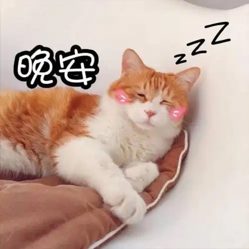 萌宠gif喵星人gif晚安gif睡了gif呆萌gif搞怪gif