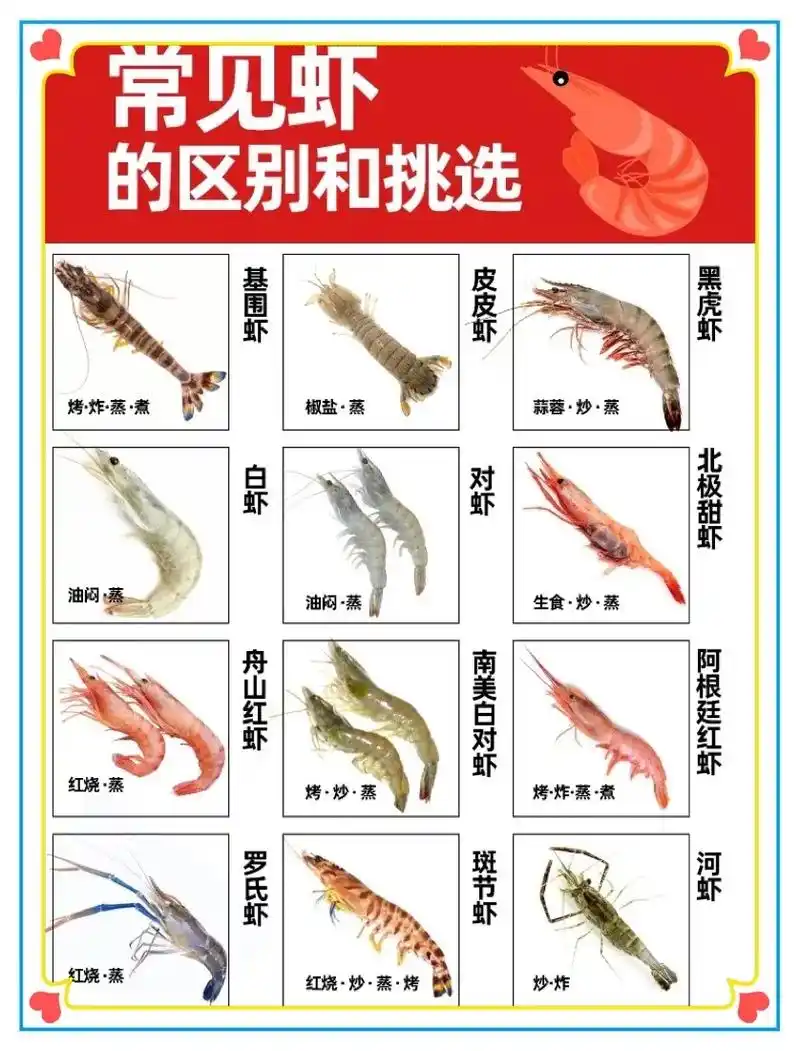 怎么选虾!常见虾你认识几个#挑虾 #图文掘金计划 - 抖音