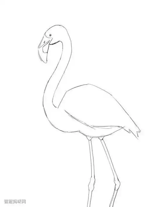 燃烧的火烈鸟儿童画内容