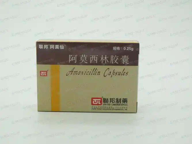 阿莫西林胶囊(联邦)