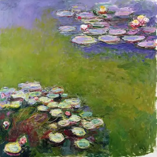 专题 2014 中法美术 莫奈特展  睡莲,1914-1917年  油画布,200 x 200