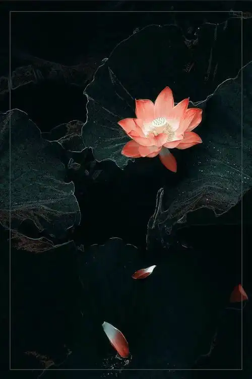 东湖新视角终极大奖来了万元奖金给谁都听你的