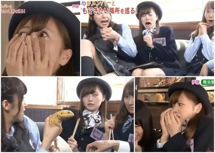 日本综艺太恶搞!女星接触巨型蜥蜴 吓到翻白眼(图) [有看点]