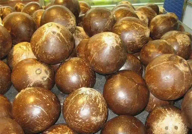 大家都了解,这是椰子 椰子饮料是经常在海边能够见到的一种水果,这类