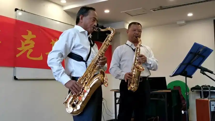 萨克斯演奏《雪绒花》