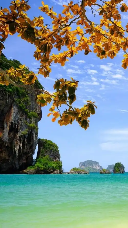 iphone 壁纸 越南,风景秀丽,海,岩石,岛屿,树木,树叶,船