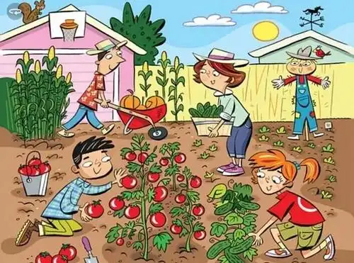 周末一起考眼力!你能看出菜园里藏着的都是啥吗?