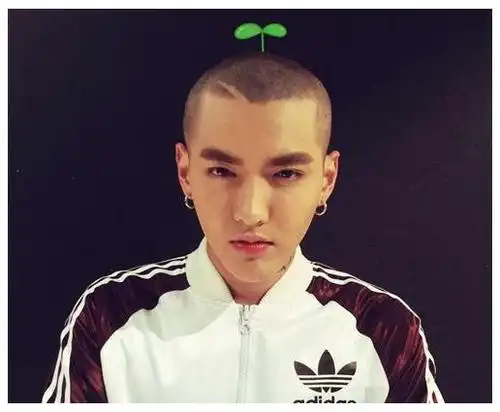 稀饭娱乐 剃光头,男星,霸气 > 正文 吴亦凡,从韩国回来后,一直片约不