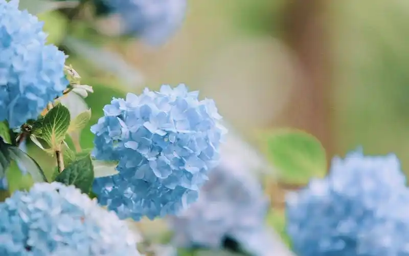 唯美小清新桌面壁纸 护眼简约电脑壁纸