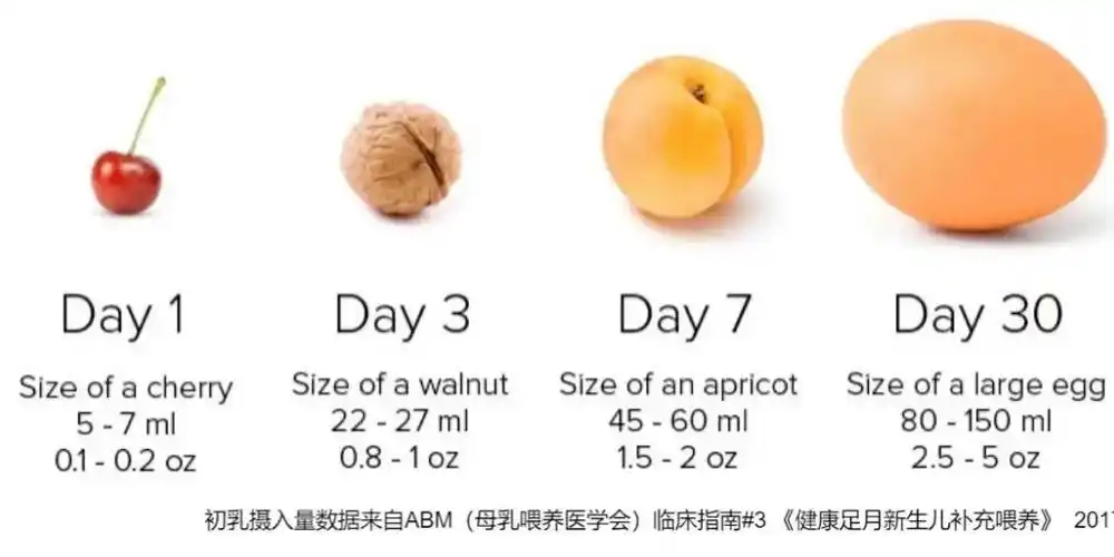 新生儿的胃容量