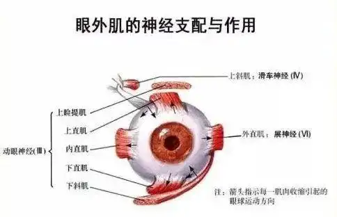 撩倒彭于晏的许晴!你这身材52岁?