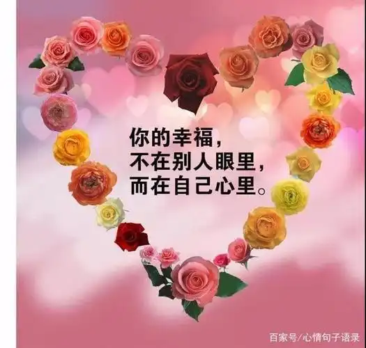 简单气质一句话说说,高情商发圈被秒赞的句子短句