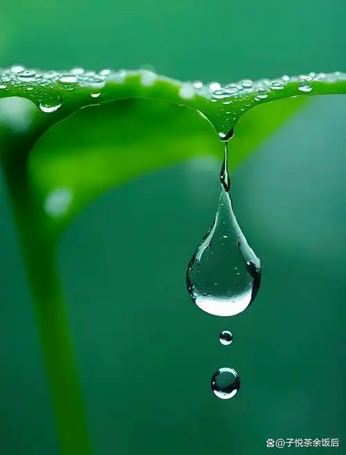 水滴看上去非常无足轻重,但它在大自然中却扮演着重要的角色.