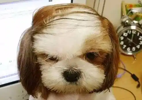 (古象法中医脱发案例两则)