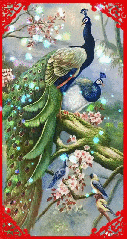 425_798竖版 竖屏gif 动态图 动图