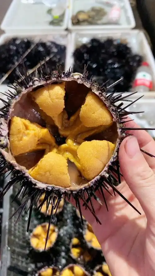 海胆走起来,到季节了,特别肥美
