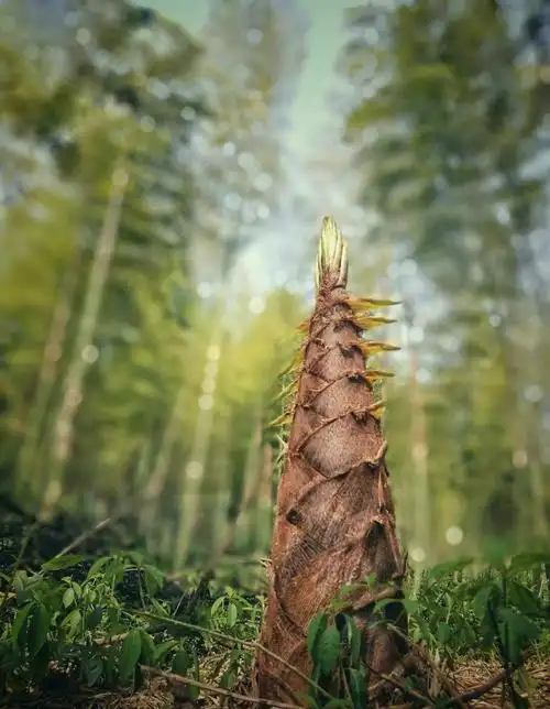 手机伴我一路轻松游