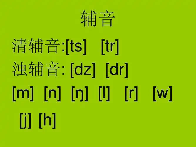 辅音 清辅音:[ts] [tr] 浊辅音: [dz] [dr] [m] [n]     [l] [r] [w]