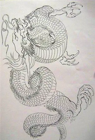 披肩龙手稿纹身