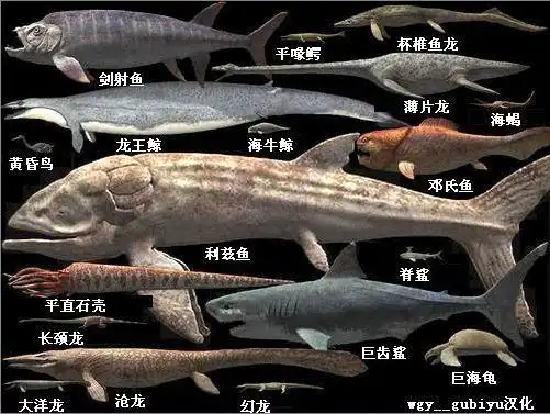 哪种史前海洋生物的实力与巨齿鲨最接近