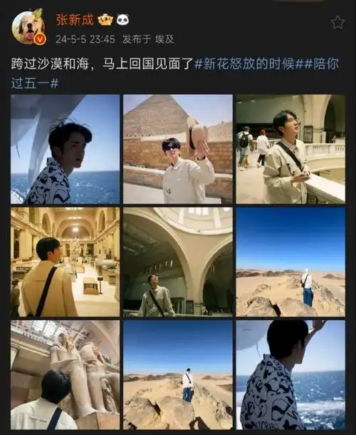 张新成从埃及已经回到北京#张新成最新微博ip定位已经显示北京,从